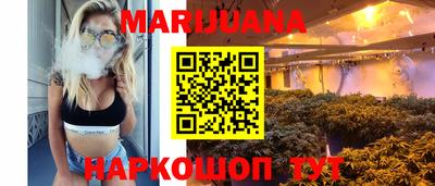 сатива Гатчина