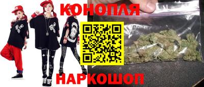 сатива Гатчина