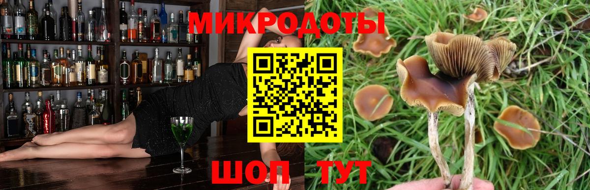 Дагестанские Огни  Галлюциногенные грибы Magic Shrooms  Вход с VPN 