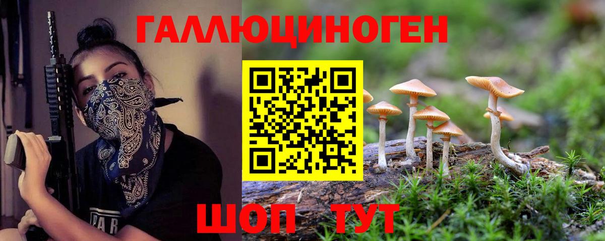 Галлюциногенные грибы мухоморы Дагестанские Огни